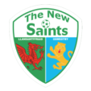 Logo The New Saints